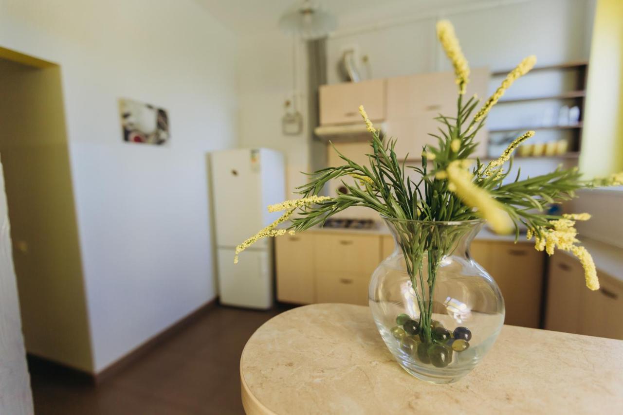 Затишні Apartments Біля Жд Вокзалу Iwano-Frankiwsk Zewnętrze zdjęcie